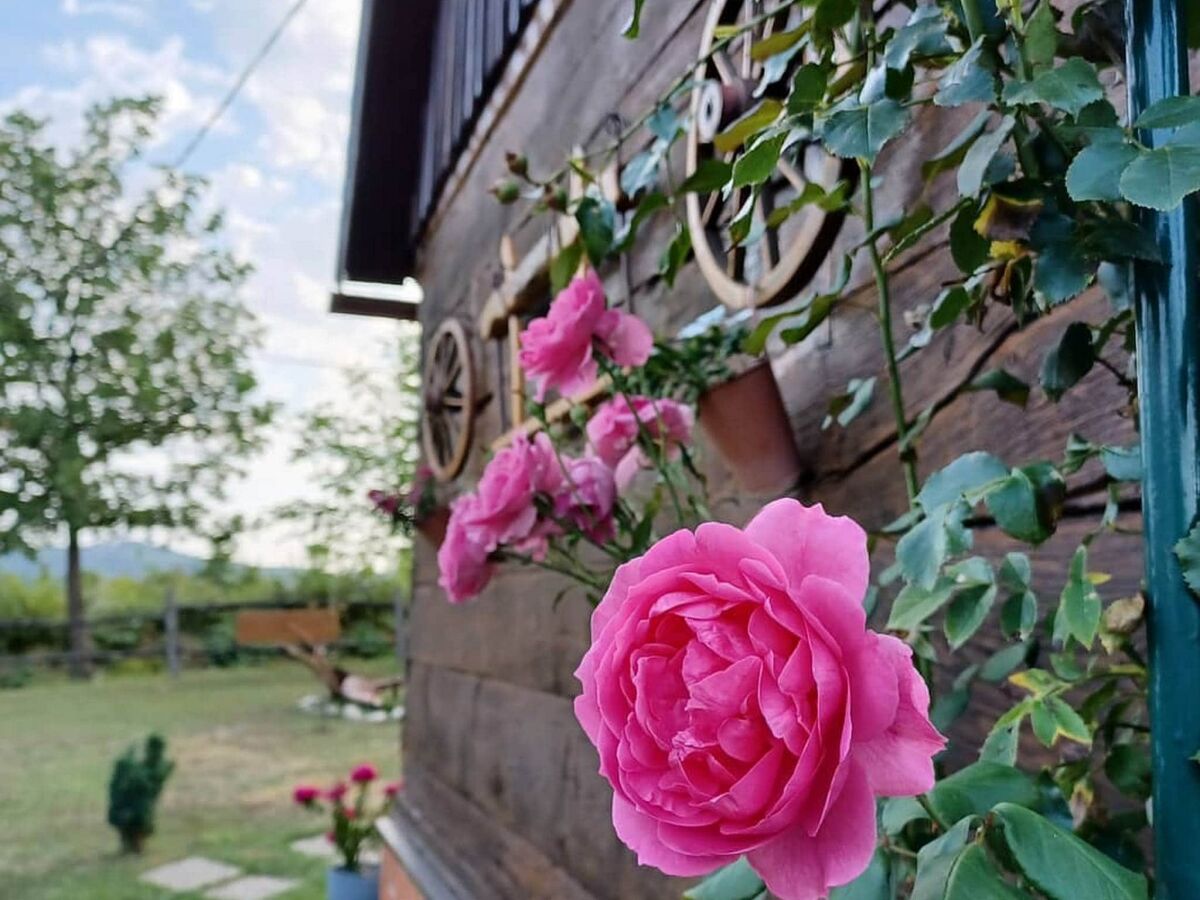 Chalet Stara Hiža Vlašić - Duplex one bedroom Chalet with Private Garden - Outdoor photo 5