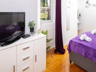 Apartment Apartments Vela Stiniva -  Two Bedroom Apartment with Sea View and Terrace - Features photo 6