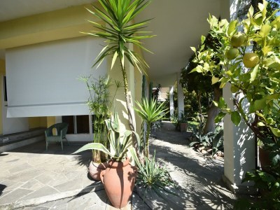 Holiday house Chalet by Lake Maggiore with Garden Views - Outdoor photo 8