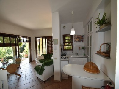 Holiday house Chalet by Lake Maggiore with Garden Views - Features photo 11