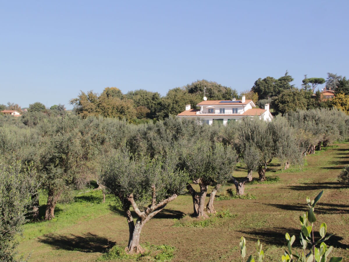 Holiday apartment Villa Stauder - Holiday Apartment Melograno - Outdoor photo 5