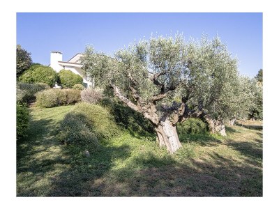 Holiday apartment Villa Stauder - Holiday Apartment Melograno - Outdoor photo 7