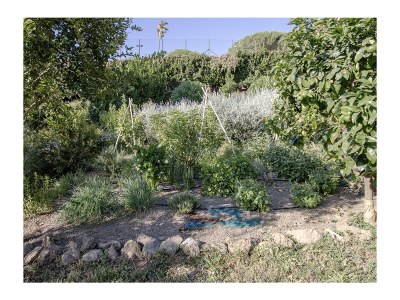 Holiday apartment Villa Stauder - Holiday Apartment Melograno - Outdoor photo 8