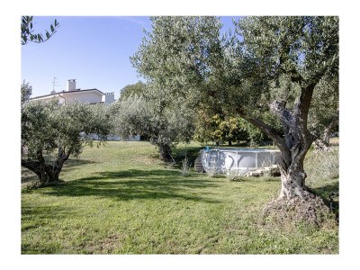 Holiday apartment Villa Stauder - Holiday Apartment Melograno - Outdoor photo 12