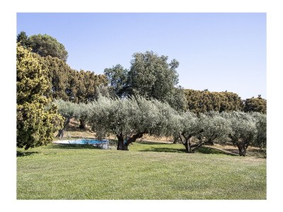 Holiday apartment Villa Stauder - Holiday Apartment Melograno - Outdoor photo 14