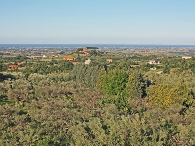 Holiday apartment Villa Stauder - Holiday Apartment Melograno - Environment photo 28