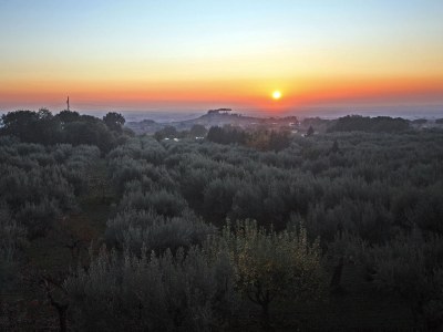 Holiday apartment Villa Stauder - Holiday Apartment Melograno - Environment photo 29