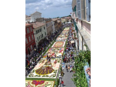 Holiday apartment Villa Stauder - Holiday Apartment Melograno - Environment photo 35