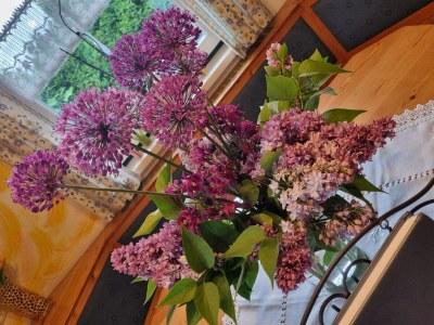 Holiday house Chalet in Einach near Ski Slopes - Outdoor photo 36