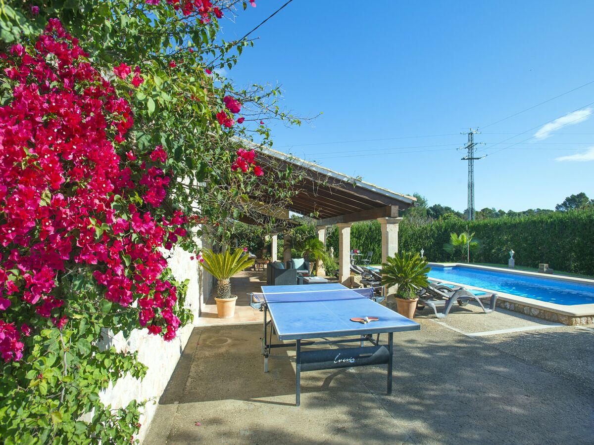 Villa Villa near Puerto Pollensa beach - Outdoor photo 4