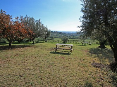 Holiday apartment Oleandro - Vigna Luisa Resort - Environment photo 24