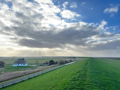Holiday house Meergut - Outdoor photo 4