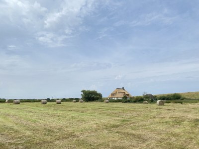 Holiday house Meergut - Outdoor photo 7