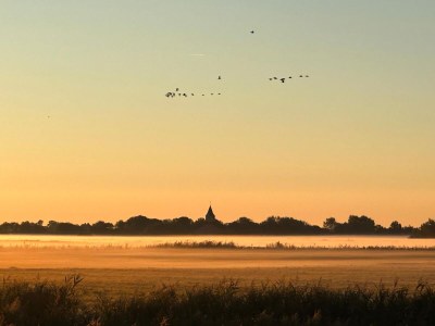 Holiday house Meergut - Outdoor photo 8