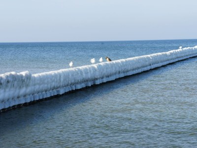 Holiday apartment Lüske 3 - Environment photo 19