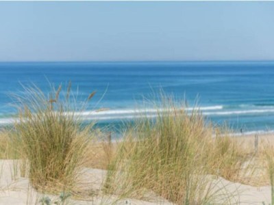 Holiday park Apartment in Biscarrosse near Sandy Beach - Environment photo 15