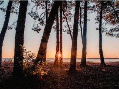 Holiday park Apartment in Biscarrosse near Sandy Beach - Environment photo 21