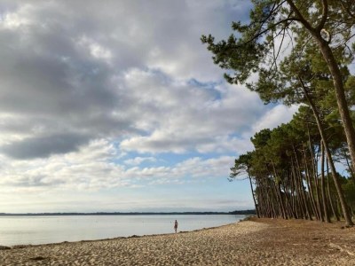 Holiday park Apartment in Biscarrosse near Sandy Beach - Environment photo 22