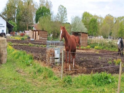 Holiday park Apartment in Biscarosse near Sandy Beach - Environment photo 14