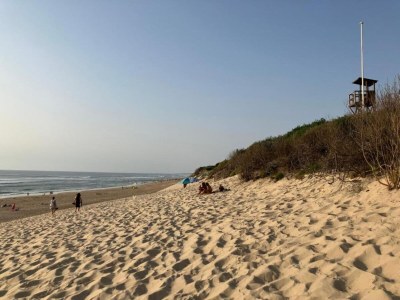 Holiday park Apartment in Biscarosse near Sandy Beach - Environment photo 15