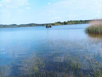 Holiday park Apartment in Biscarosse near Sandy Beach - Environment photo 23