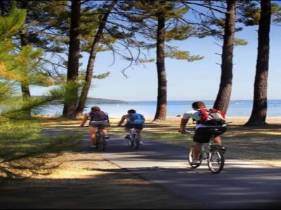 Holiday park Apartment in Biscarosse near Sandy Beach - Environment photo 27