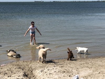 Holiday house Waterfront house - Environment photo 34