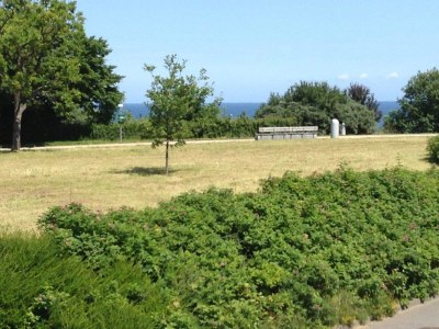 Holiday apartment Kellermann - Environment photo 23