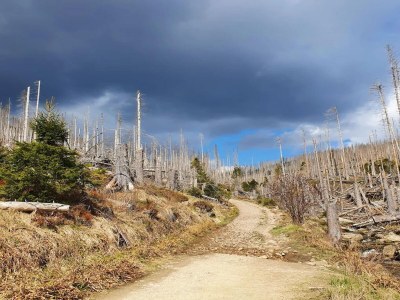 Holiday park Ferienhäuser im Schierke Harzresort, Schierke - Environment photo 24