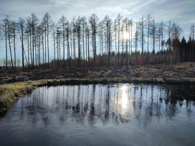 Holiday park Ferienhäuser im Schierke Harzresort, Schierke - Environment photo 29
