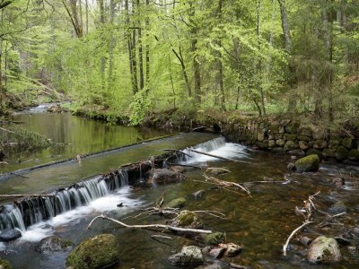 Holiday park Ferienhäuser im Schierke Harzresort, Schierke - Environment photo 31