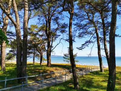 Apartment Stranpromenade - 1. row at the sea incl. beach chair - Environment photo 44