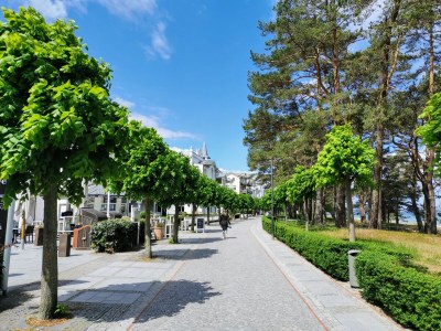 Apartment Stranpromenade - 1. row at the sea incl. beach chair - Environment photo 46