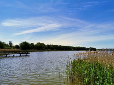 Apartment Stranpromenade - 1. row at the sea incl. beach chair - Environment photo 52