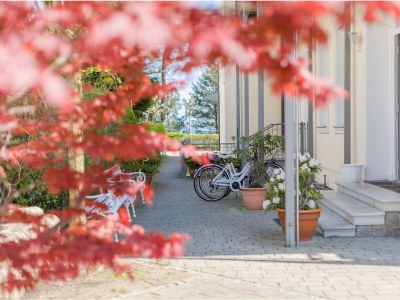 Apartment Stranpromenade - 1. row at the sea incl. beach chair - Environment photo 53