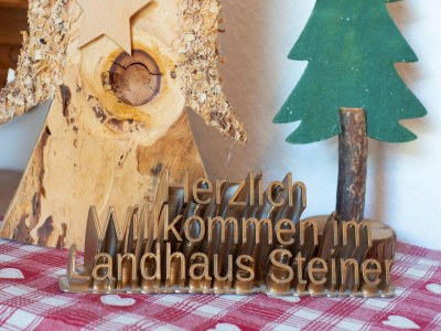 Holiday house Exklusive Wohnung mit Garten und Whirlpool - Outdoor photo 40