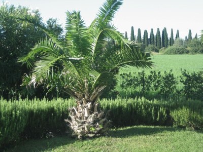 Holiday house Ferienhaus in Lazise am Gardasee - Outdoor photo 7