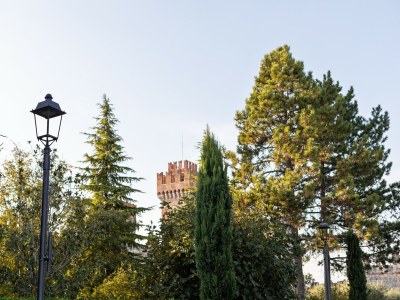 Holiday house Charmanter Rückzugsort am Seeufer - Environment photo 26