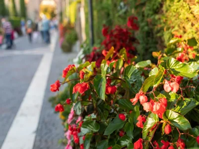 Holiday house Charmanter Rückzugsort am Seeufer - Outdoor photo 40
