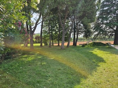 Holiday house Wohnung in Colà nahe Thermalpark & See - Outdoor photo 6