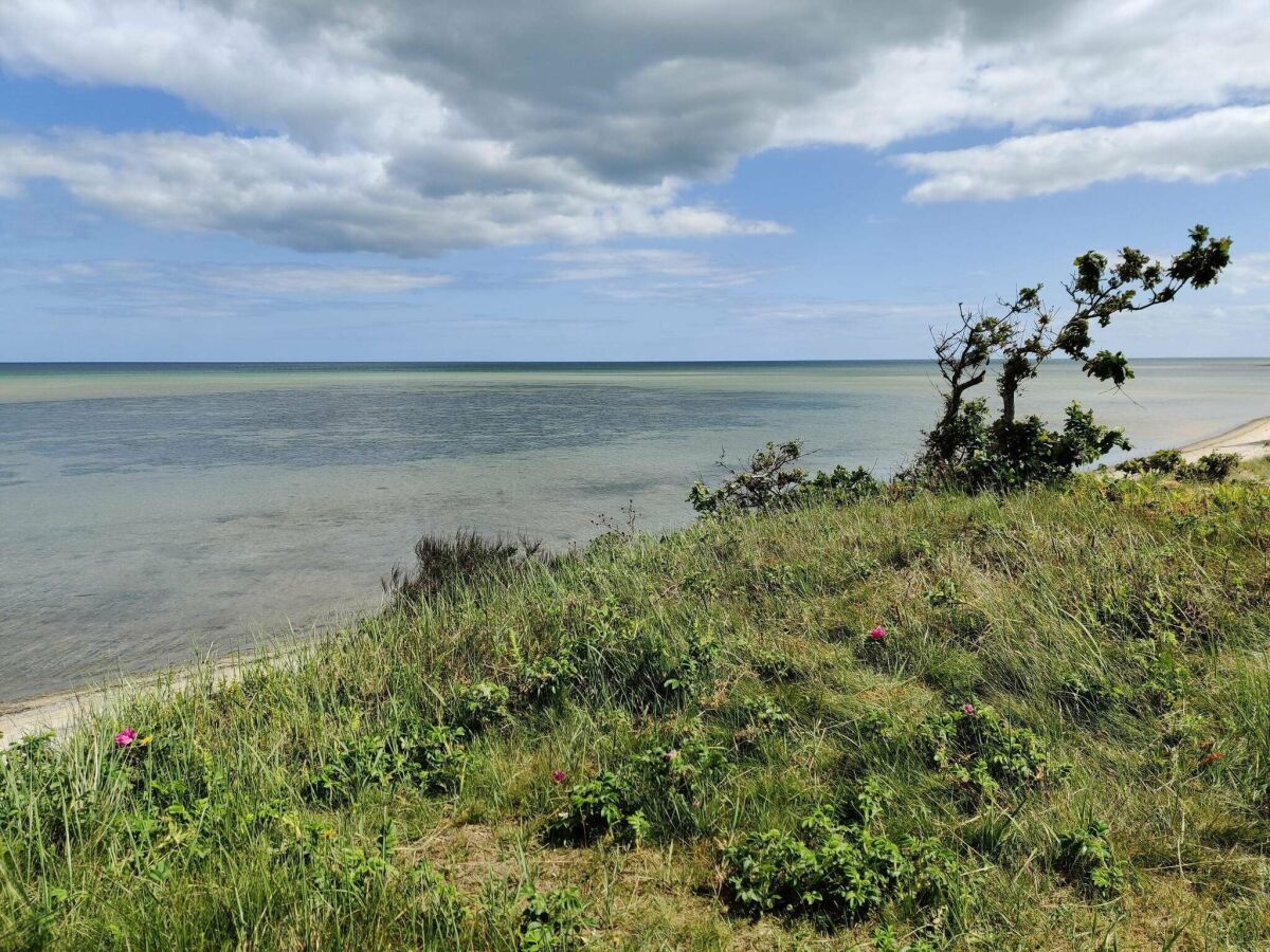 Holiday house 6 Personen Ferienhaus in Hadsund-By Traum - Outdoor photo 5
