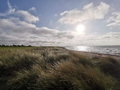 Holiday house 6 person holiday home in Dannemare-By Traum - Outdoor photo 8