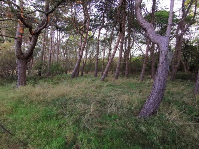 Holiday house 6 person holiday home in Dannemare-By Traum - Outdoor photo 30