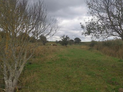 Holiday house 6 person holiday home in Dannemare-By Traum - Outdoor photo 36