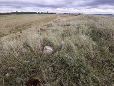 Holiday house 6 person holiday home in Dannemare-By Traum - Outdoor photo 40