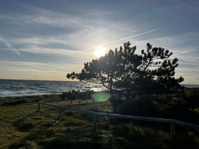 Holiday house 4 Personen Ferienhaus in Ebeltoft-By Traum - Outdoor photo 22