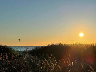 Holiday house 4 Personen Ferienhaus in Ebeltoft-By Traum - Outdoor photo 29