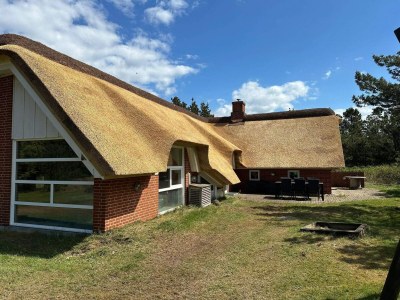 Holiday house 4 star holiday home in Blåvand - Outdoor photo 16