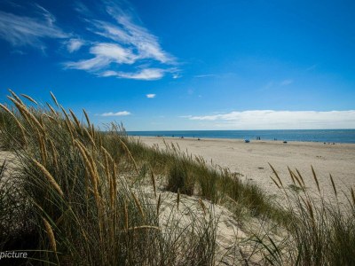 Holiday house 4 star holiday home in Blåvand - Outdoor photo 21