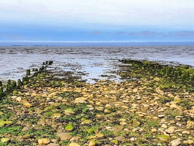 Holiday house 4 Sterne Ferienhaus in Højer - Outdoor photo 10